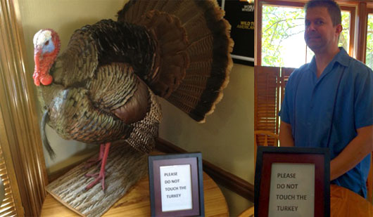 Don't Touch the Turkey