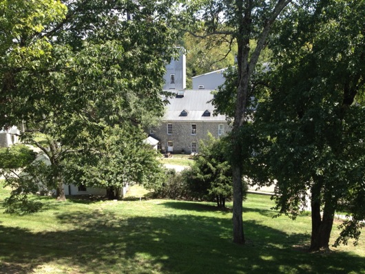 Woodford Reserve Down the Hillside